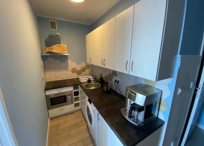 Little White Frog アパート シュチェチン